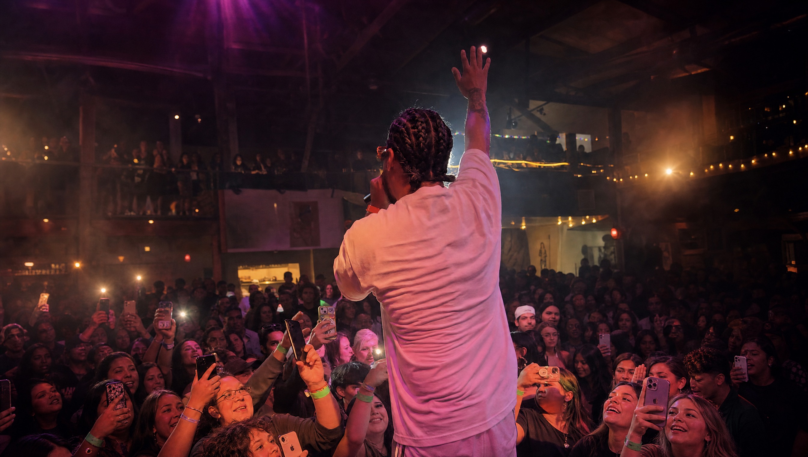Al Bear performing live on stage, widescreen
